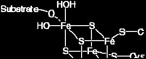 REAKCIJA Pretvorba citrata v izocitrat (eliminacija vode in nastanek dvojne vezi, nato adicija vode na dvojno vez) Encim = akonitaza (liaza), Fe-S kompleks kot prostetična skupina Citrat cis-akonitat