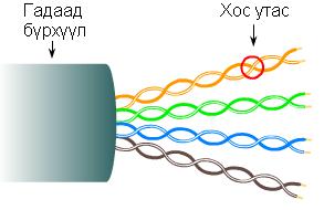 Чиглэлтэй орчин: Twisted pair