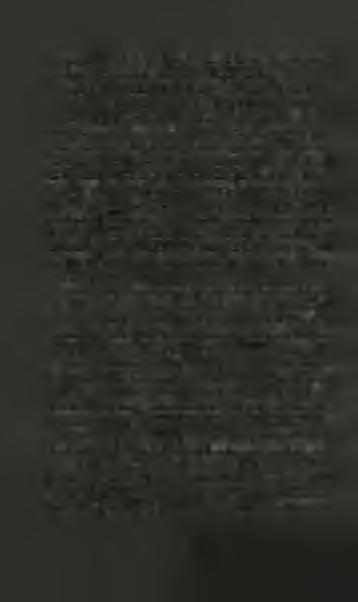 Me adhiero a la editora holandesa cuando admite la autoría sáfica dei68ayii7a, y me separo de ella en su rechazo de 99, el polémico fragmento del penis coriaceus.