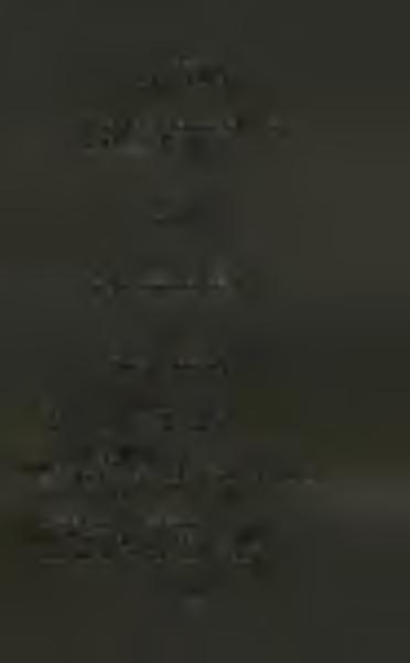44 Dones de la memoria * D e verdad yo quisiera verme muerta.