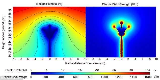 1126/science.1230883 http://phenomena.