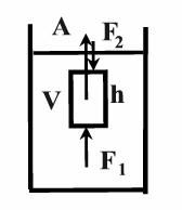 σώμα. Α=ρ g V Όπου ρ η πυκνότητα του υγρού, και V ο βυθισμένος όγκος του σώματος. Αν η κάτω βάση του σώματος βρίσκεται σε βάθος h 1 δέχεται από το ρευστό δύναμη F 1 =p 1 A=ρgh 1 Α.