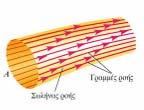 Στρωτή ροή: Η ροή που δε παρουσιάζει στροβίλους. Τα γειτονικά στρώματα του υγρού ρέουν απαλά μεταξύ τους. Στη στρωτή ροή η ταχύτητα των μορίων του υγρού σε ένα σημείο του χώρου παραμένει σταθερή.