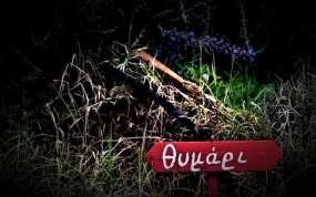 αποςτακτόριο. Ακϐμη και ςε αυτϐν το τομϋα η κατϊςταςη βρύςκεται ςε πρώιμο ςτϊδιο. Η οργϊνωςη των αγροτών ϋχει ϐμωσ ςχϋςη και με τισ δυνατϐτητεσ διϊθεςησ και με τισ τιμϋσ των αγροτικών προώϐντων.
