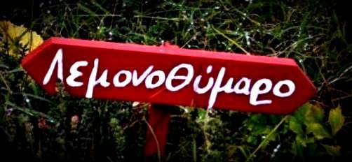 δημιουργύα βελτιωμϋνου γενετικοϑ υλικοϑ (αγενοϑσ και εγγενοϑσ) και η κατοχϑρωςό του μϋςω εγγραφόσ ςτον Εθνικϐ Κατϊλογο, ό ςτον CPVO.