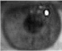 Οι κύριες προκλήσεις της Super Resolution Ανακατασκευής Στις προηγούμενες ενότητες αναφερθήκαν πολλές από τις τεχνικές που χρησιμοποιούνται για την SR ανακατασκευή.