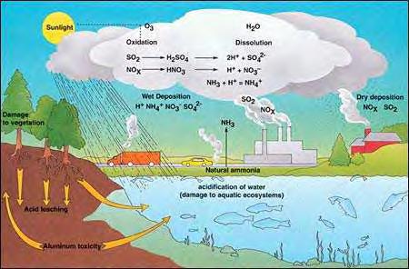 Εικόνα 3 Επιπτώσεις και κύκλος όξινης βροχής Ενδιαφέρον παρουσιάζουν κυρίως το μονοξείδιο του αζώτου (ΝΟ) και το διοξείδιο του αζώτου (NO2). Το NO 2 είναι πιο επικίνδυνο για την υγεία από το ΝΟ.