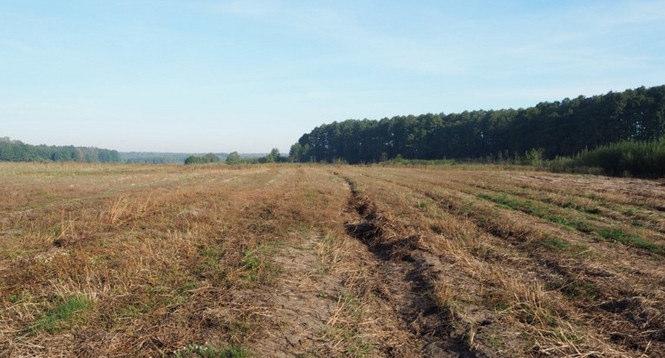ΟΥΚΡΑΝΙΑ Η επιφάνεια στην περιοχή Poltava που προτάθηκε από τον εταίρο IBC&SB, πιθανά αντιπροσωπεύει τον τύπο της εγκαταλελειμμένης γης, η οποία χρησιμοποιούταν προηγουμένως στην συμβατική γεωργία.