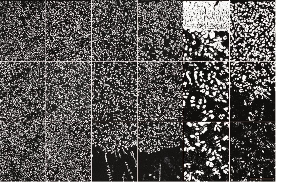 t4 bi : N4 Cu 80%Pb D "M C! Cu <T mf f 4 425 P6!Eo 3 I ; t h # Cu 0 ( 3f), _b P6!E h >V DW % K' jt ` [h >V )4 # Cu 3r; %h>v(, P6t>^Y3 5* n #P6!E, nw P6 n^>vh8[s + 0.
