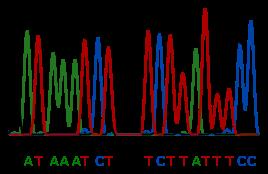 DNA - Το μόριο