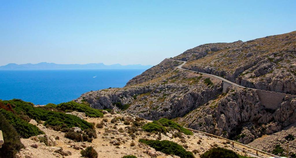 Majorka Kot že samo ime otoka pove, gre za največjega izmed Balearskih otokov, ki se nahajajo v Sredozemskem morju.