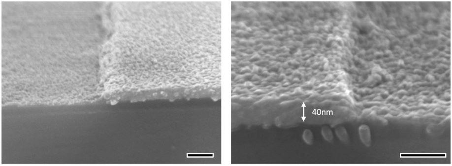 Εικόνα 3.2: Σημασία του προφιλ του ηλεκτροδίου. Εικόνες από ηλεκτρονικό μικροσκόπιο σάρωσης (SEM) με κλίση 5. Η μπάρα έχει μήκος 100nm [1].