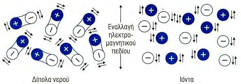Σχήμα 25.