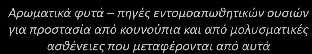 Γκηόμςκ & Βημηεπκμιμγία Αρωματικά φυτά πηγέσ