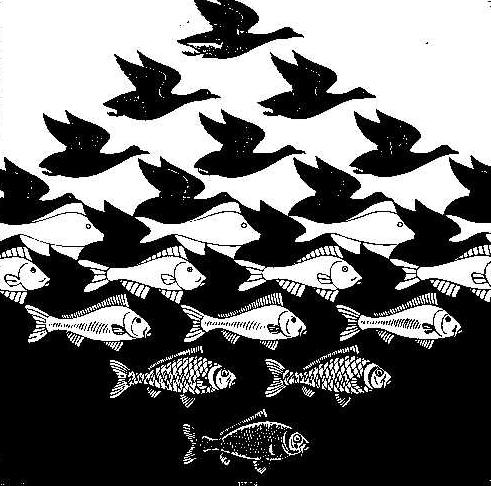 ως λαγός. Πηγή Εικόνας: www. nautil.us 11. M.C.