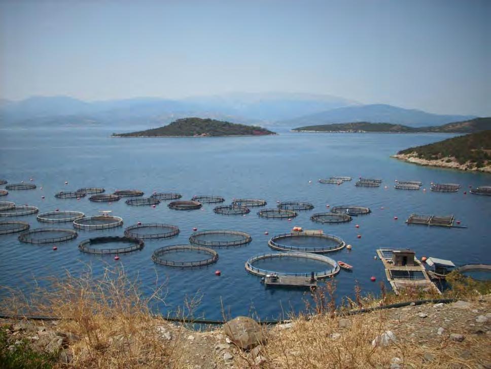 φόρτωσης Βωξίτη Εικόνα 8 - -