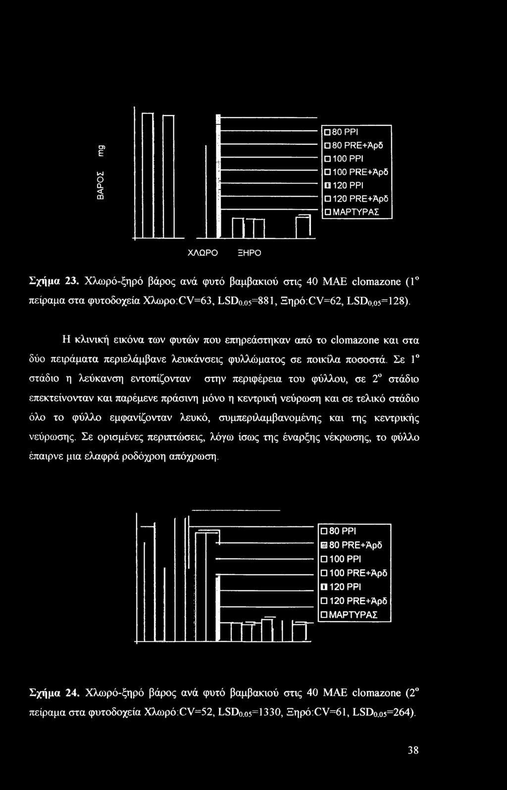 Η κλινική εικόνα των φυτών που επηρεάστηκαν από το clomazone και στα δύο πειράματα περιελάμβανε λευκάνσεις φυλλώματος σε ποικίλα ποσοστά.