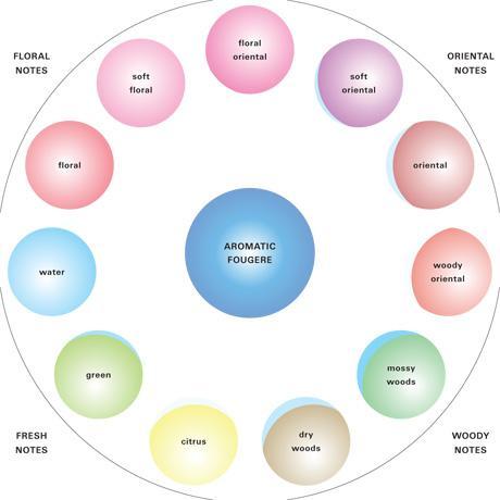 Hans Henning's Odor Prism, 1915 1916. Perfumer Paul Jellinek's classificatory system, 1951. Michael Edwards's fragrance wheel, 1983.