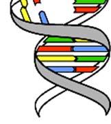 Poznámka: Fotóny ultrafialového žiarenia poškodzujú molekuly DNA živých organizmov rôznym spôsobom.