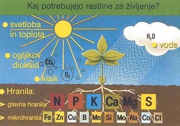 Gnojenje Gnojenje na podlagi kemijske analize tal in gnojilnega načrta Upoštevamo: