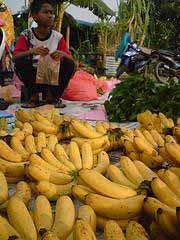 1 Guru menayangkan gambar dan