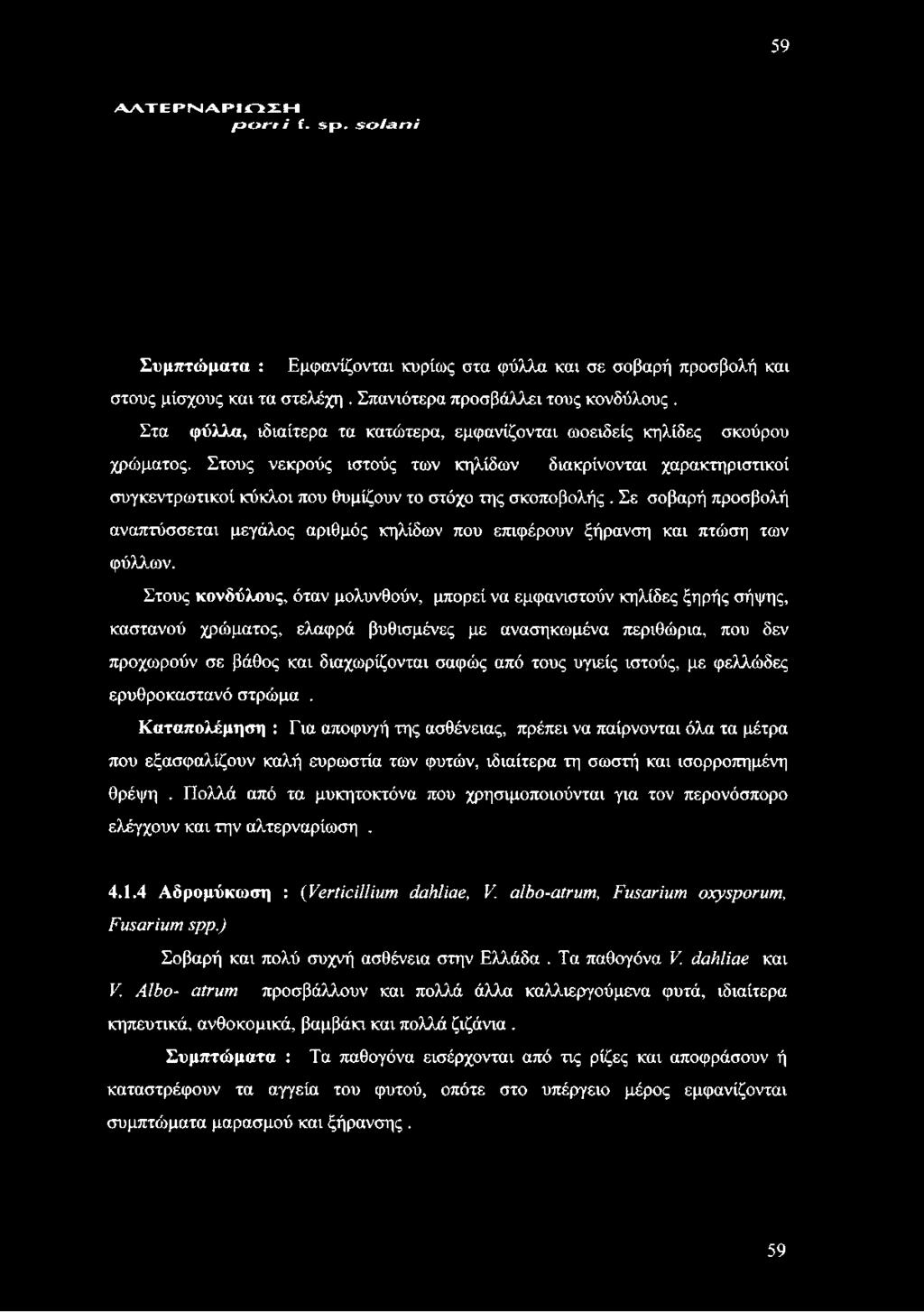 Στους κονδύλους, όταν μολυνθούν, μπορεί να εμφανιστούν κηλίδες ξηρής σήψης, καστανού χρώματος, ελαφρά βυθισμένες με ανασηκωμένα περιθώρια, που δεν προχωρούν σε βάθος και διαχωρίζονται