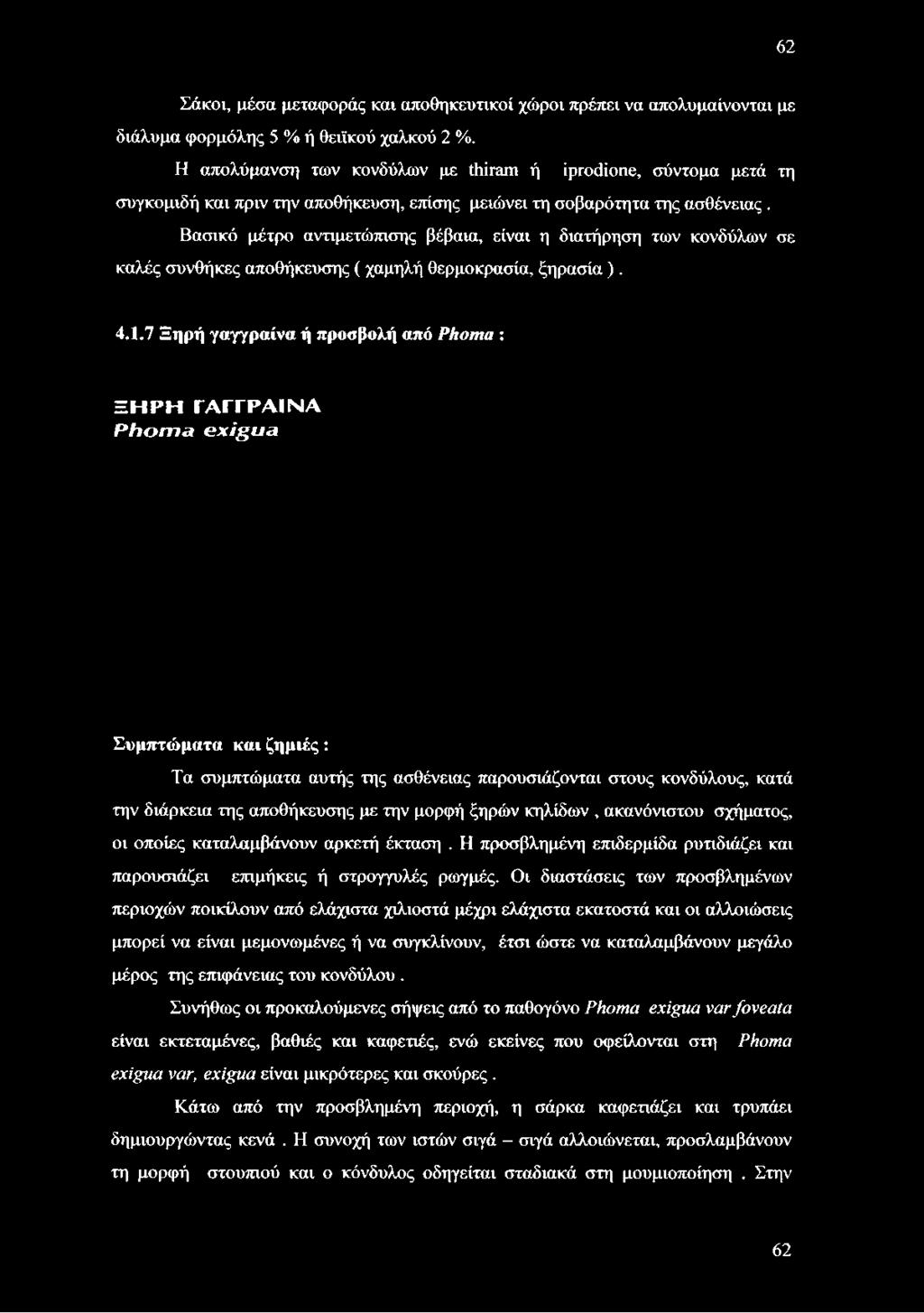 διάρκεια της αποθήκευσης με την μορφή ξηρών κηλίδων, ακανόνιστου σχήματος, οι οποίες καταλαμβάνουν αρκετή έκταση.