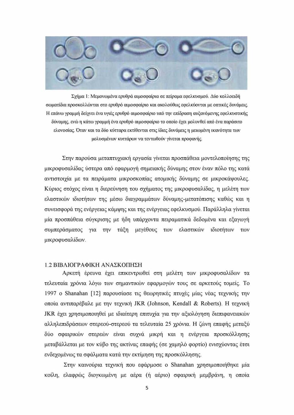 Σχήμα 1: Μεμονωμένα ερυθρά αιμοσφαίρια σε πείραμα εφελκυσμού. Δύο κολλοειδή σωματίδια προσκολλώνται στο ερυθρό αιμοσφαίριο και ακολούθως εφελκύονται με οπτικές δυνάμεις.
