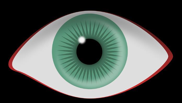 ppi (Pixel Per Inch) ή dpi (Dots Per Inch) και διακριτική ικανότητα του ανθρώπινου ματιού Οι