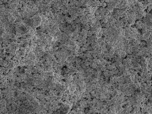 Κεφάλαιο 6 10μm 10μm (α)