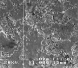 παλμοί (f) 6 J/cm 2 500 παλμοί (g) 6 J/cm 2