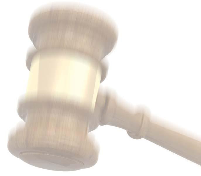 PRO BONO GODINA 2 BROJ 3 STUDENI 2013. GORUĆI PROBLEMI surađivati s međunarodnim organizacijama utemeljenim radi promicanja istih prava i interesa.