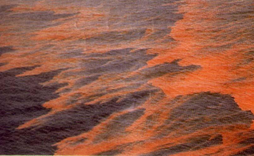 Mnoge vrste dinoflagelata razvijaju guste populacije ("cvjetanje"), pa mogu promijeniti boju mora u crvenu (engl.: red tide) ili zelenu (engl.
