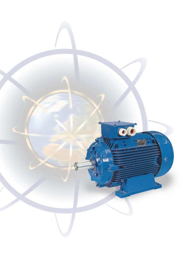 otori Asincroni Trifasi a Gabbia RI A AC BC B5C BC GRANZZ Three Phase