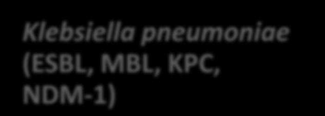 Gram(-) αρνητικά Βακτήρια Pseudomonas aeruginosa (IMP, MBL, KPC)