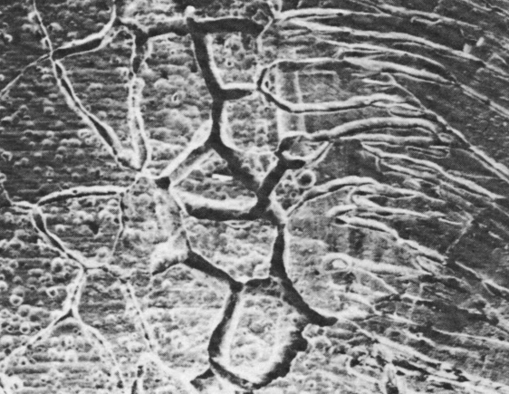 5. Περικρυςταλλικι διάβρωςθ (integranular corrosion).