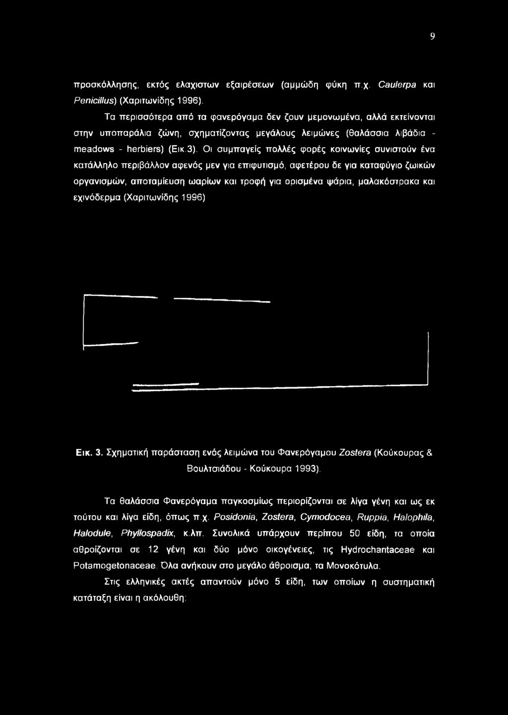 Οι συμπαγείς πολλές φορές κοινωνίες συνιστούν ένα κατάλληλο περιβάλλον αφενός μεν για επιφυτισμό, αφετέρου δε για καταφύγιο ζωικών οργανισμών, αποταμίευση ωαρίων και τροφή για