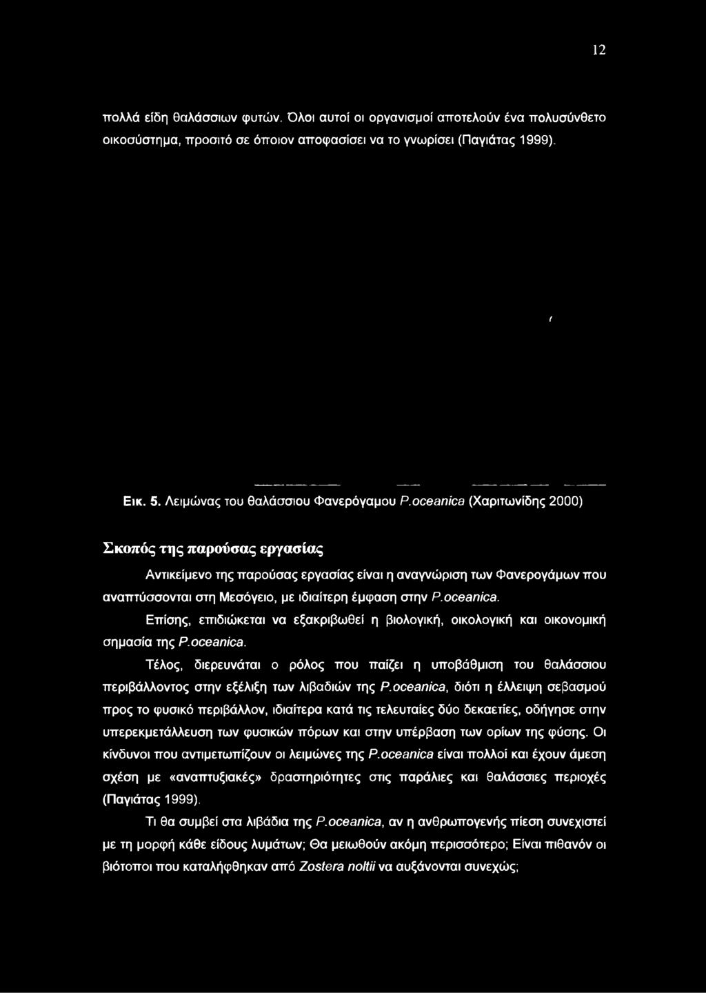 oceánica (Χαριτωνίδης 2000) Σκοπός της παρούσας εργασίας Αντικείμενο της παρούσας εργασίας είναι η αναγνώριση των Φανερογάμων που αναπτύσσονται στη Μεσόγειο, με ιδιαίτερη έμφαση στην Ρ. oceánica.