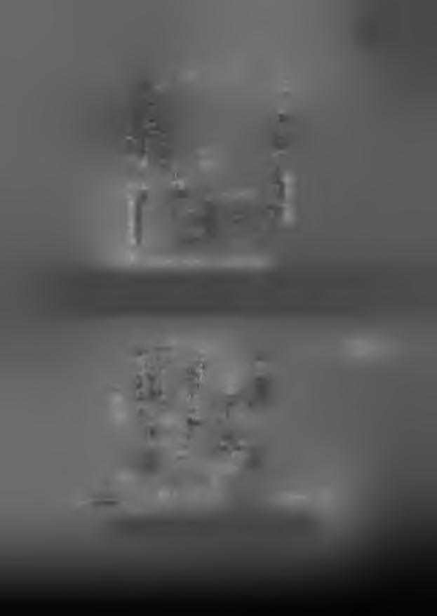 17 Εικ. 6.
