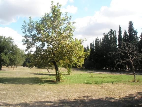 Εικόνες