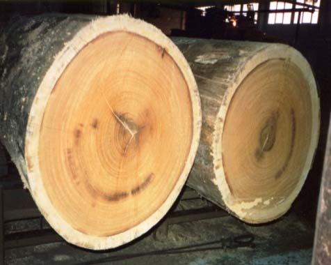 ξύλων για εκτύλιξη και