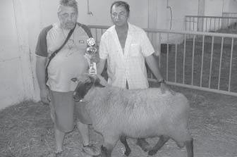 Tento nákupný trh nahradil nákupné trhy konané v Uzovských Pekľanoch. Majitelia priestorov sa od obdobia keď boli v konkurze vybraní s veľkou chuťou pustili do prerábania.