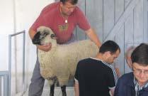 požadovaných priestorov, ktoré zodpovedajú veterinárnym predpisom a Trhovému poriadku pre ich usporiadanie.