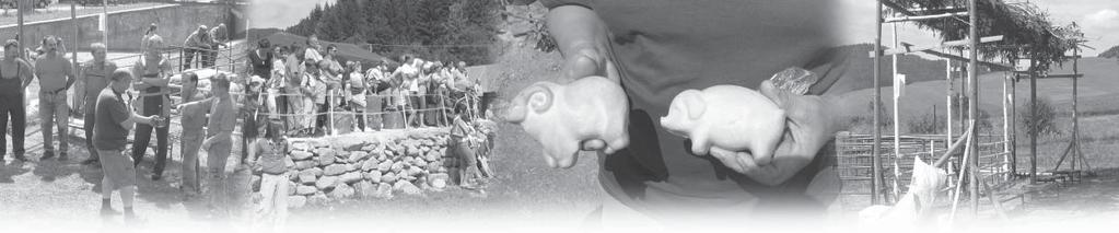 Organizácia tejto súťaže je na pleciach zanietencov z SPDP Lúžňan na čele s pánom Štefanom Črepom.