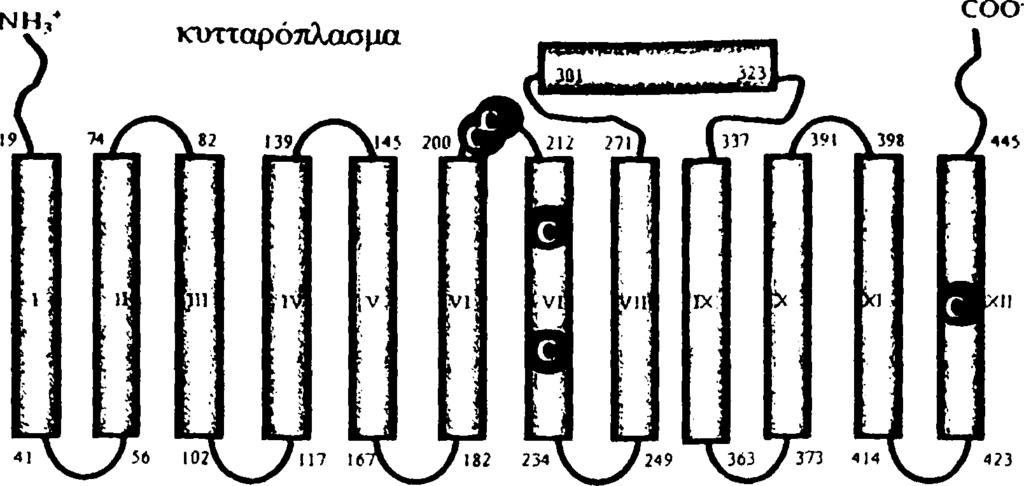 118 επηρεάζεται από το ΝΕΜ.