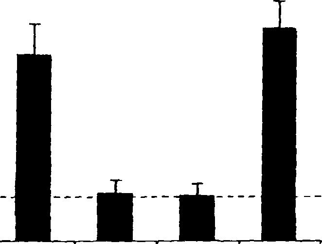 coli ΤΙ 84 μετασχηματισμένα με τα πλασμίδια pt7-5/yg/0-bad, pt7-5/yg/"o-c203s, ρτ7-5/ygfo- C204S, pt7-5/yg/d-c219s, pt7-5/yg/(9-c227s, pt7-5/yg/(9-c433s ή pt7-5 αναπτύχθηκαν σε πλήρες θρεπτικό υλικό