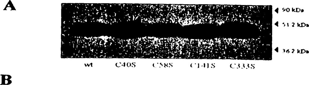 120 Γ 0.16 0.14 0.12 0.10 0.08 0.06 0.04 0.02 0.00 w t C 4 0 S C 5 8 S C l 4 1 S C 3 3 3 S Εικόνα 3.