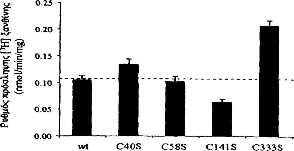 c o li ΤΙ 84 μετασχηματισμένα με τα πλασμίδια pt7-5/>>/c -BAD, p T 7-5/y/c -C 40S, pt7-5/y/'c - C 58S, pt 7-5/y/c -C 141S, p T 7-5/y/c -C 333S ή pt7-5 αναπτύχθηκαν σε πλήρες θρεπτικό υλικό στους 37 C
