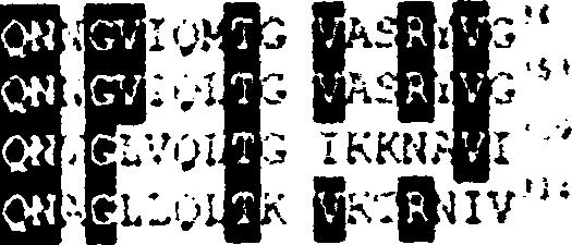 u r ic a c id /x a n th in e u r ic a c id /x a n th in e u r ic a c id /x a n th in e u r a c il u r a c il L ~ascorbic a c id L -a