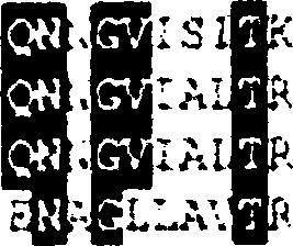 (http://w w w.sbc.su.se/p R O D IV -T M H M M ).